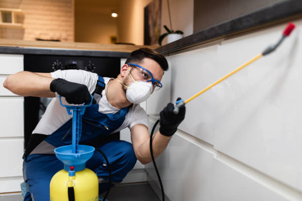 Trusted Boston, MA Pest Control Experts