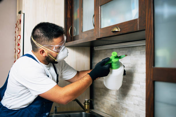 Insect Control in Boston, MA