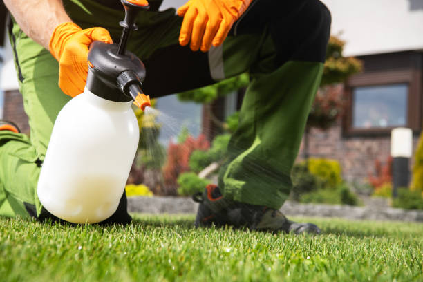 Best Best Pest Control Near Me  in Boston, MA
