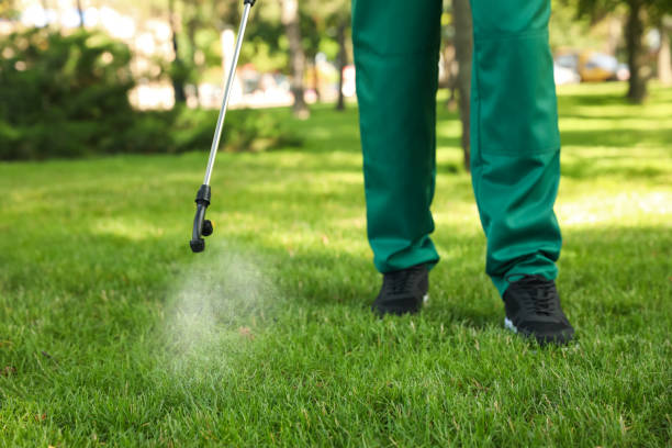 Best Termite Control Services  in Boston, MA