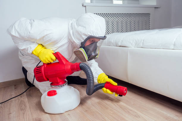 Best Pest Control for Restaurants  in Boston, MA