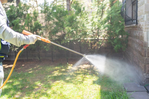 Best Termite Control Services  in Boston, MA