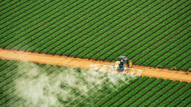 Best Commercial Pest Control Services  in Boston, MA