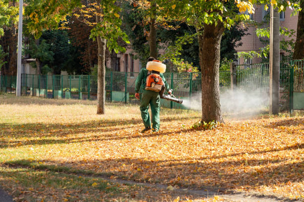 Best Pest Control Near Me in Boston, MA