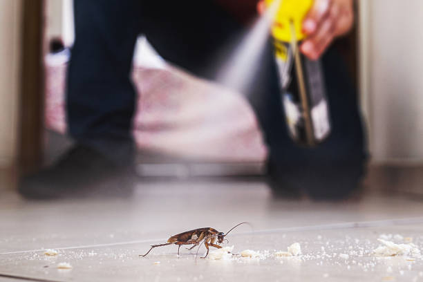 Best Rodent Control Near Me  in Boston, MA